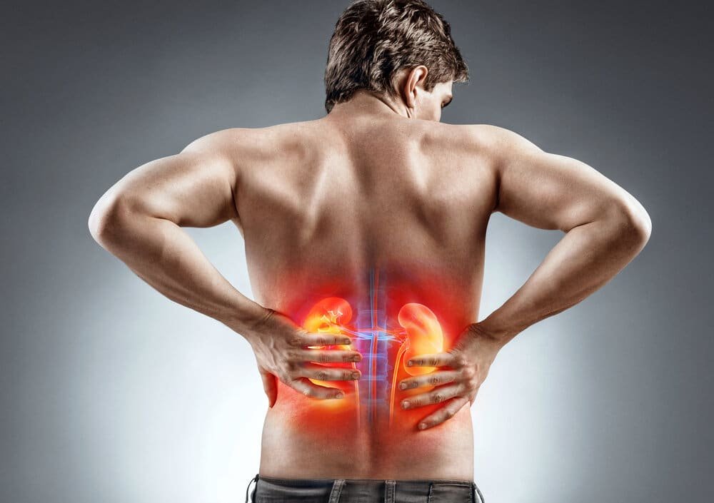 Organ Damage or Dysfunction