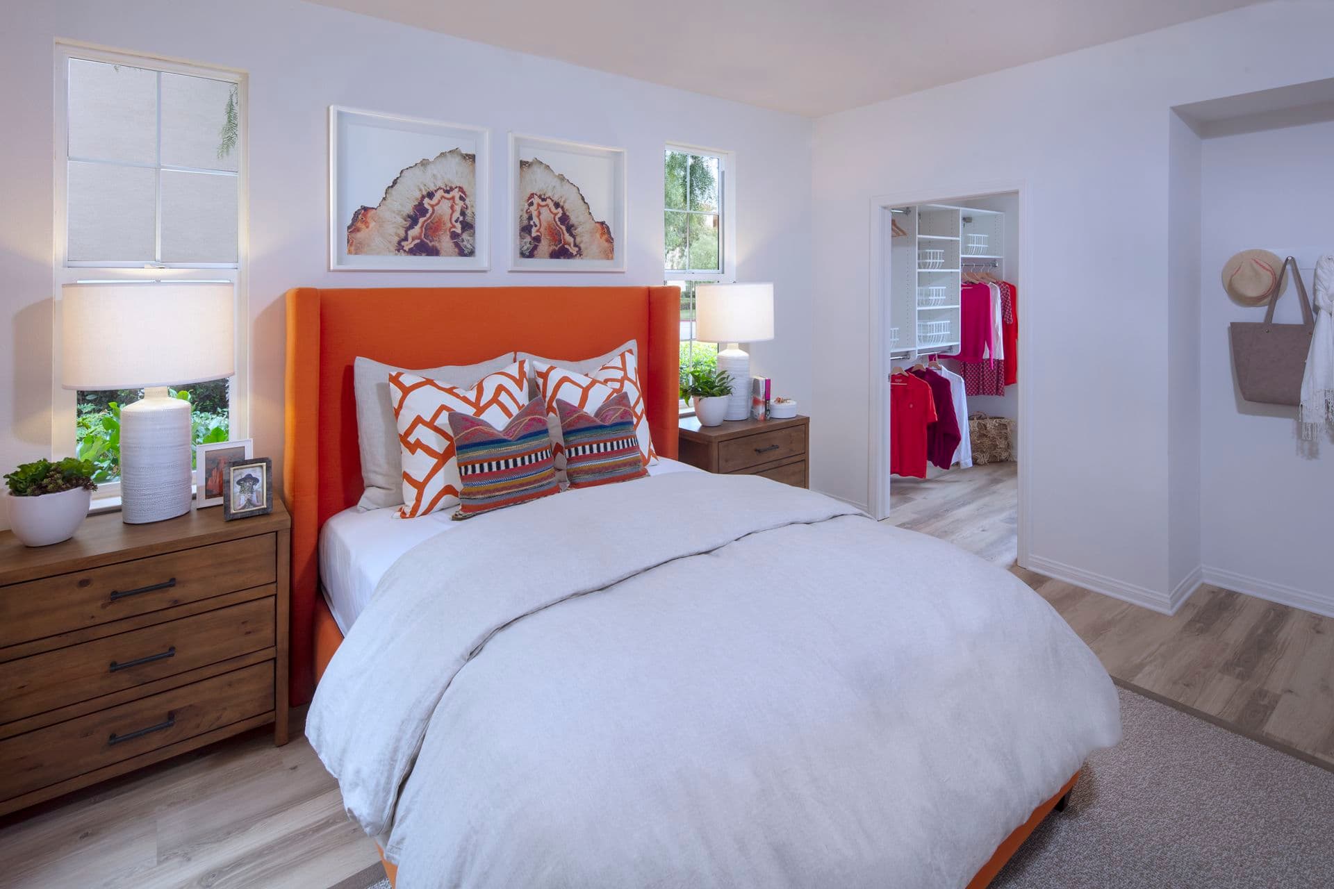 Anacapa in Irvine mold claim information
