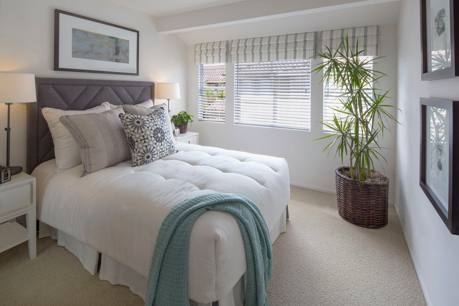 Rancho Santa Fe in Tustin mold claim information