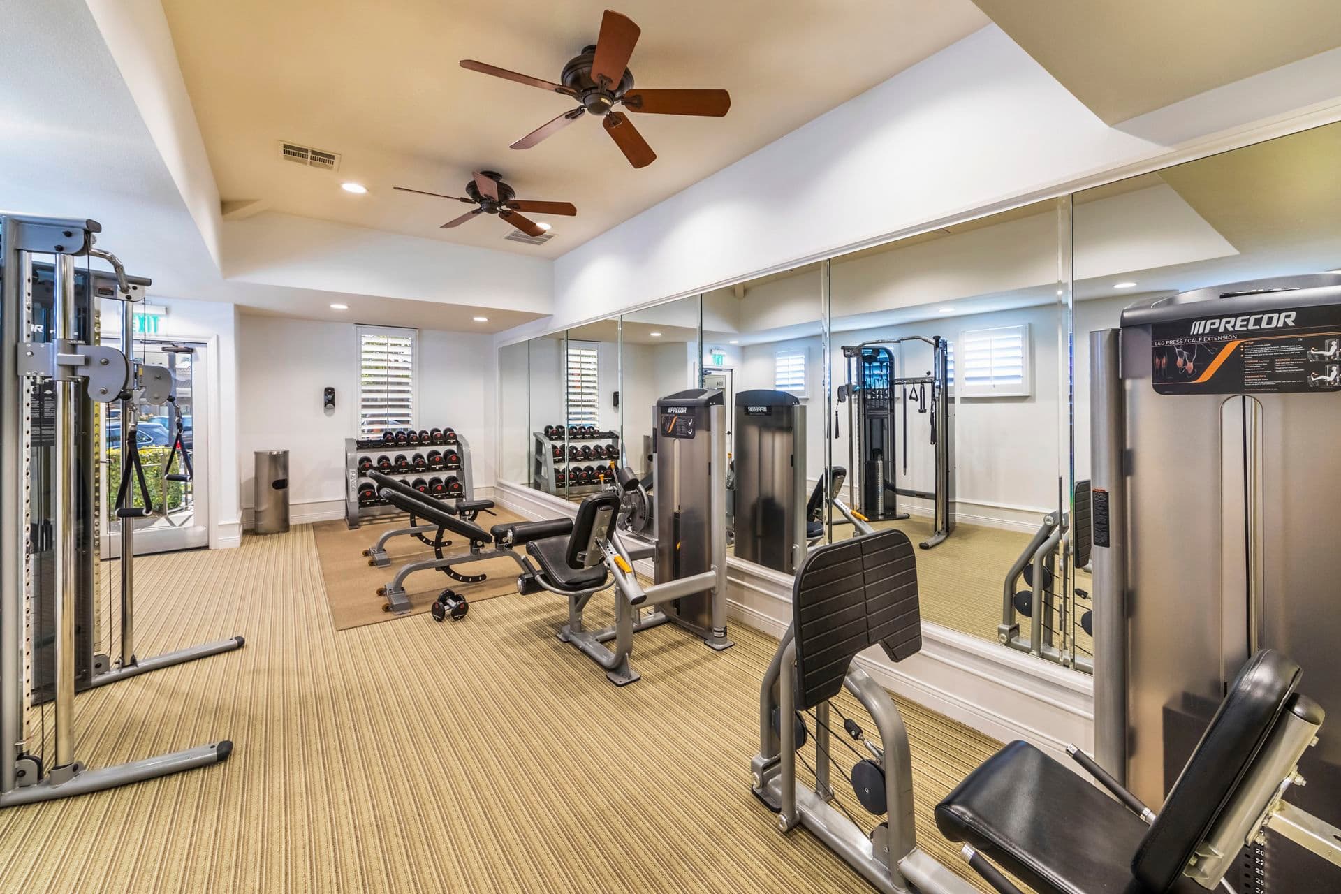 San Mateo Irvine mold claim information