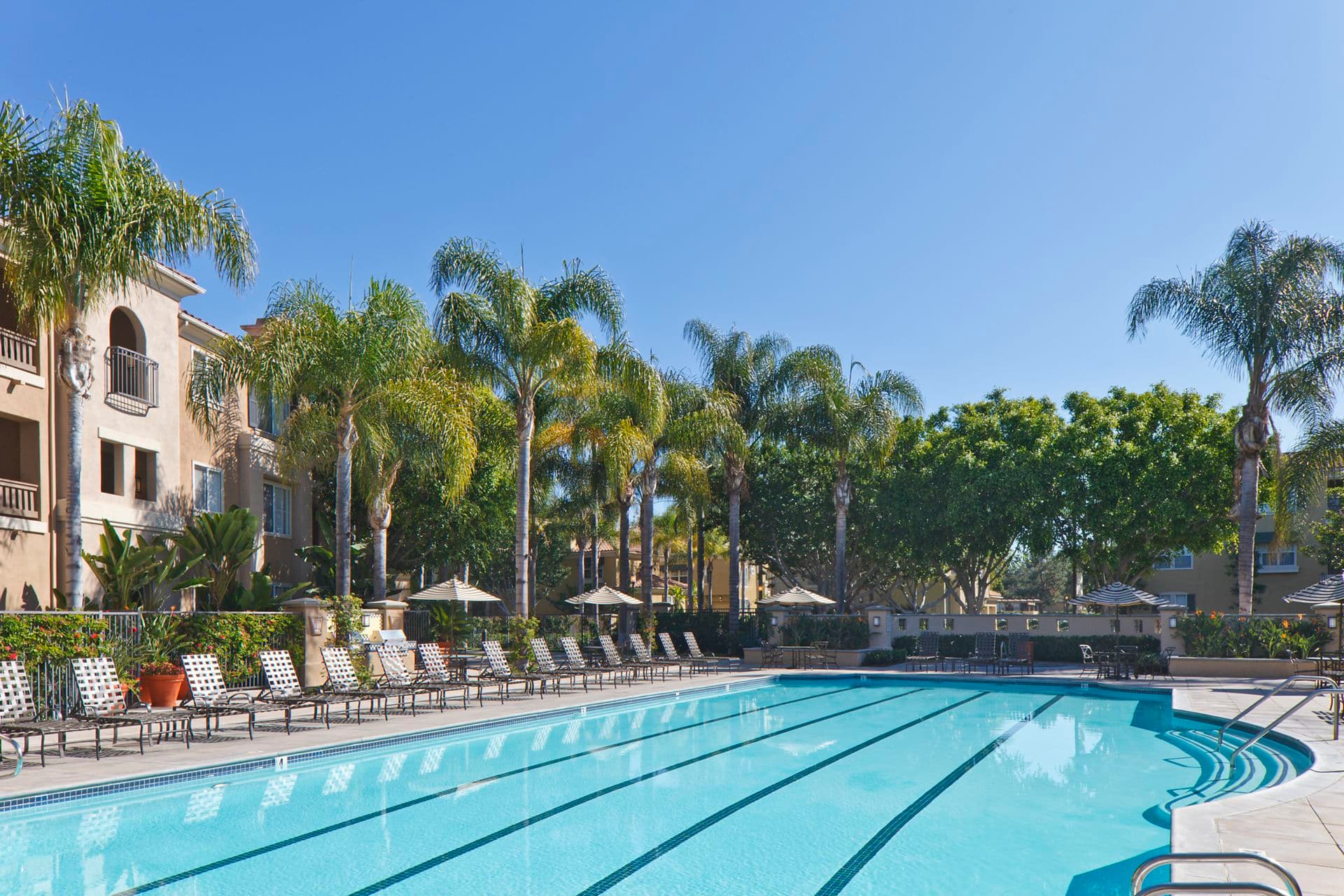 Santa Clara Apartment Homes in Irvine mold claim information