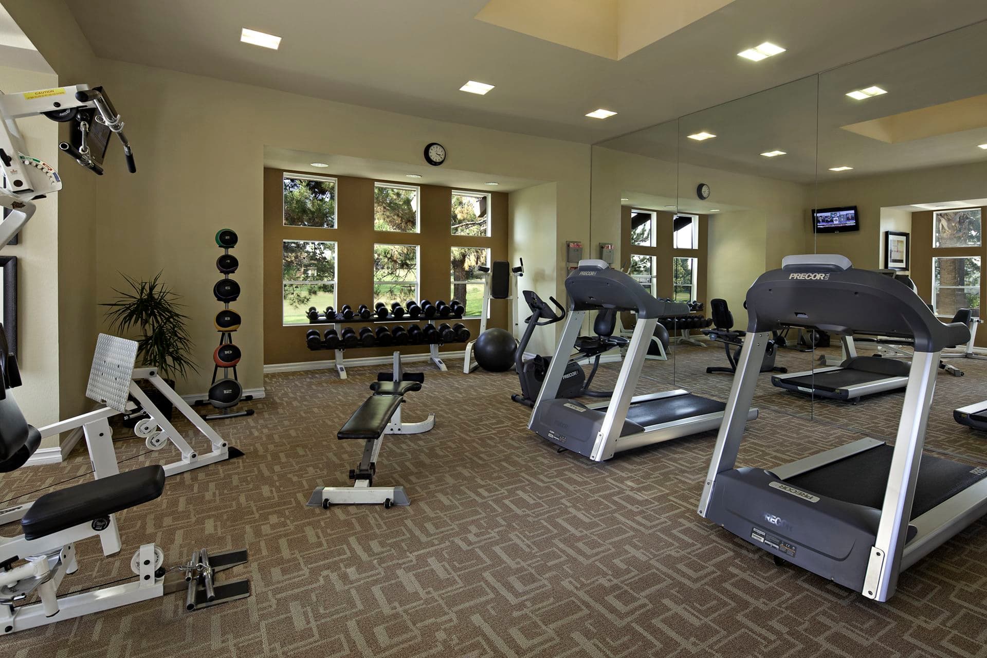 Sierra Vista in Tustin mold claim information