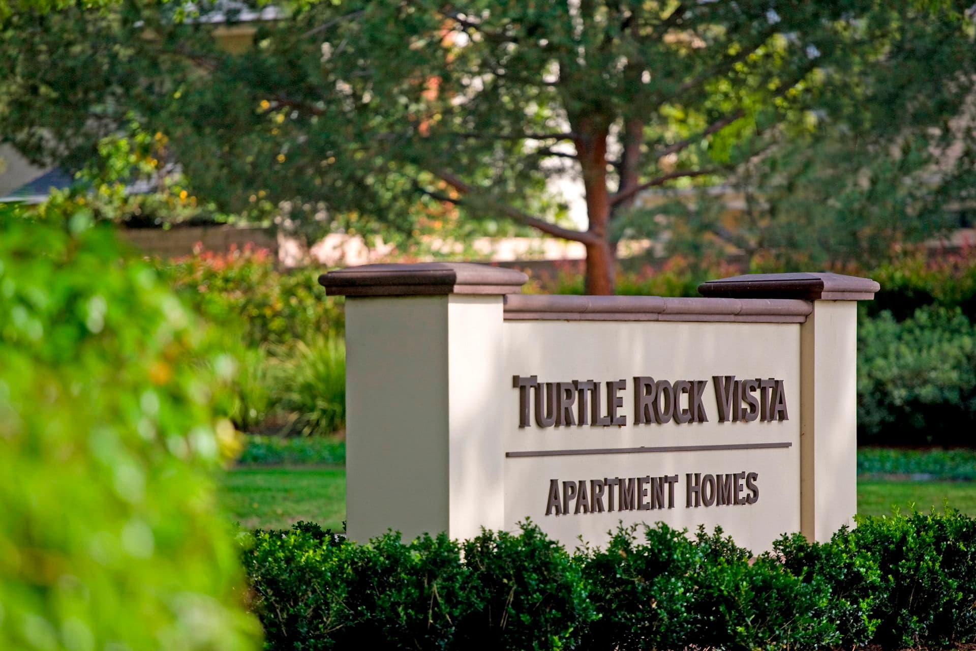Turtle Rock Vista Irvine mold claim information