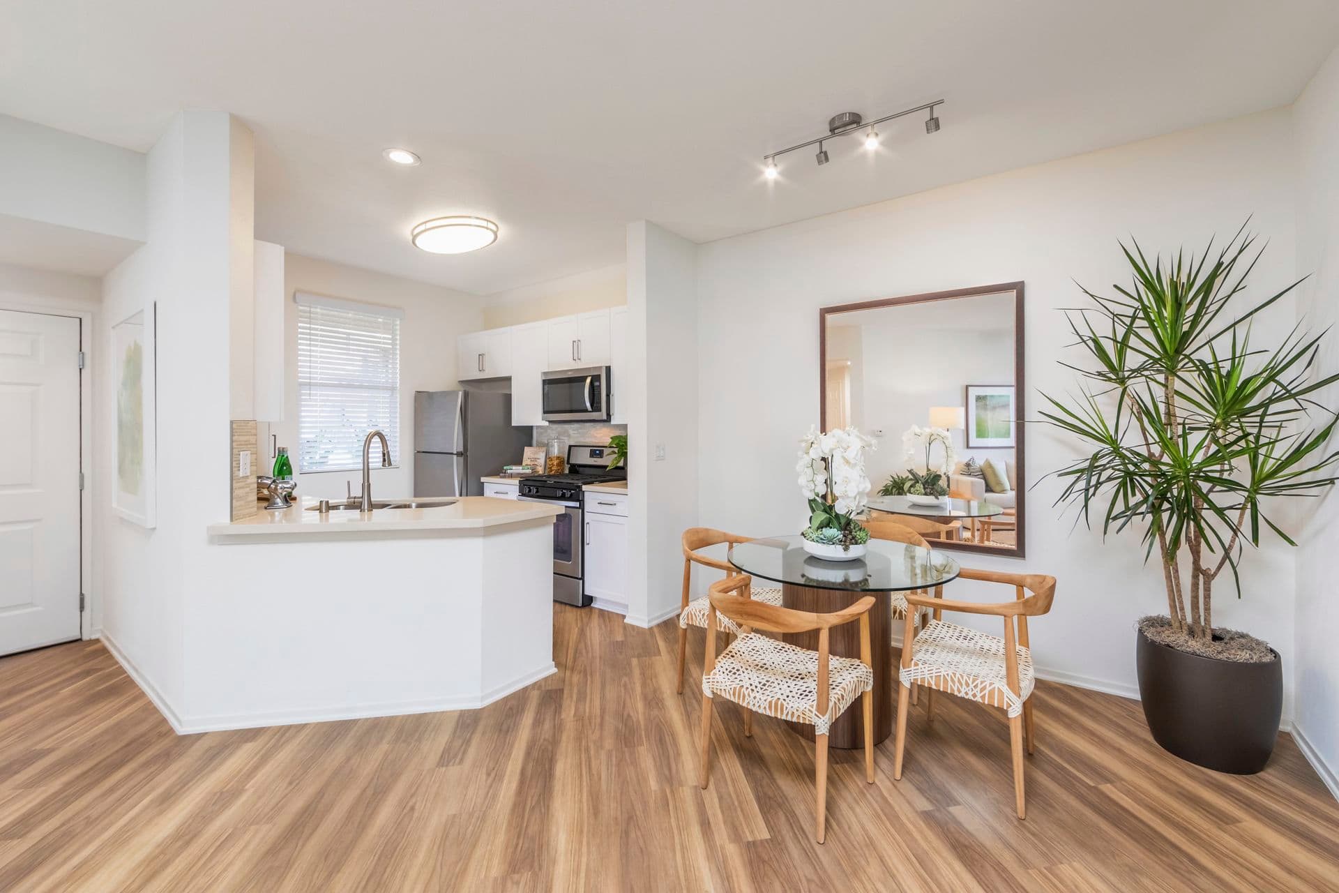 Vista Bella in Aliso Viejo mold claim information